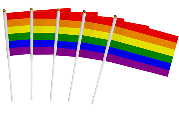 דגלון גאווה 15x20 ס