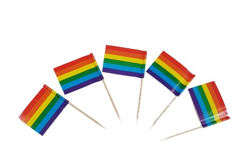 דגלוני גאווה על קיסם עץ.
גודל הדגל: 2.5X3.5
