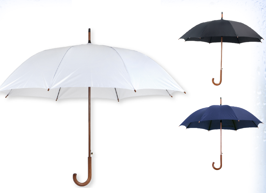 מרי - מטריה קלאסית 