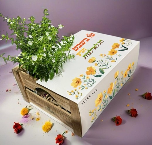 ארגז עץ קטן דקורטיבי - 9 קופסאות רב פעמיות עם פירות יבשים במשקל של כ 1.1 ק