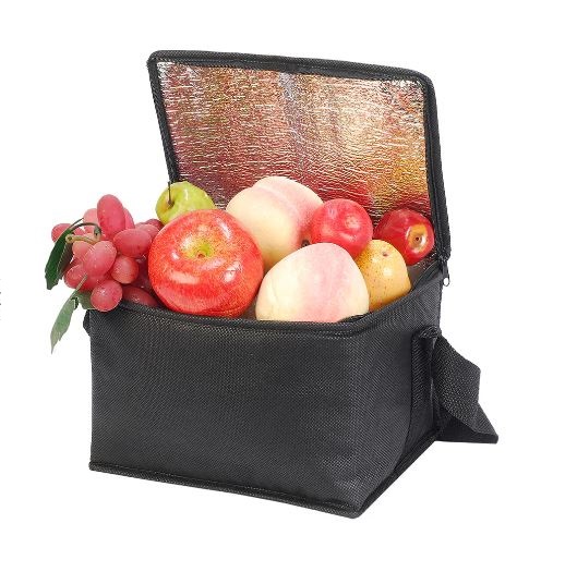 גלעד - צידנית אישית קטנה וקלה 16x23 ס