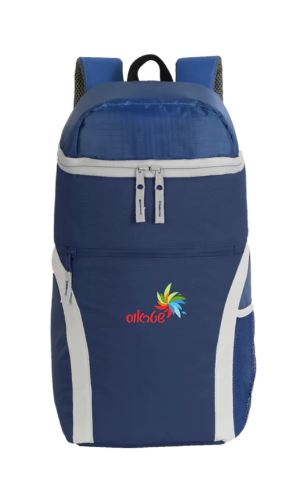 צידנית גב מכמורת - צידנית גב אופנתית 47x23x18 ס