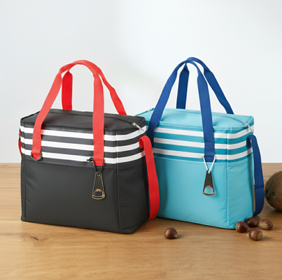 אביב - צידנית לים 30x38 ס