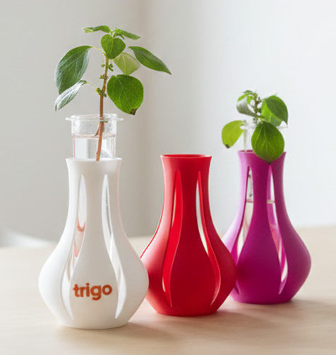 אגרטל צמיחה ממותג - אגרטל שולחני בעיצוב נקי עם מקום לייחור צמח. 