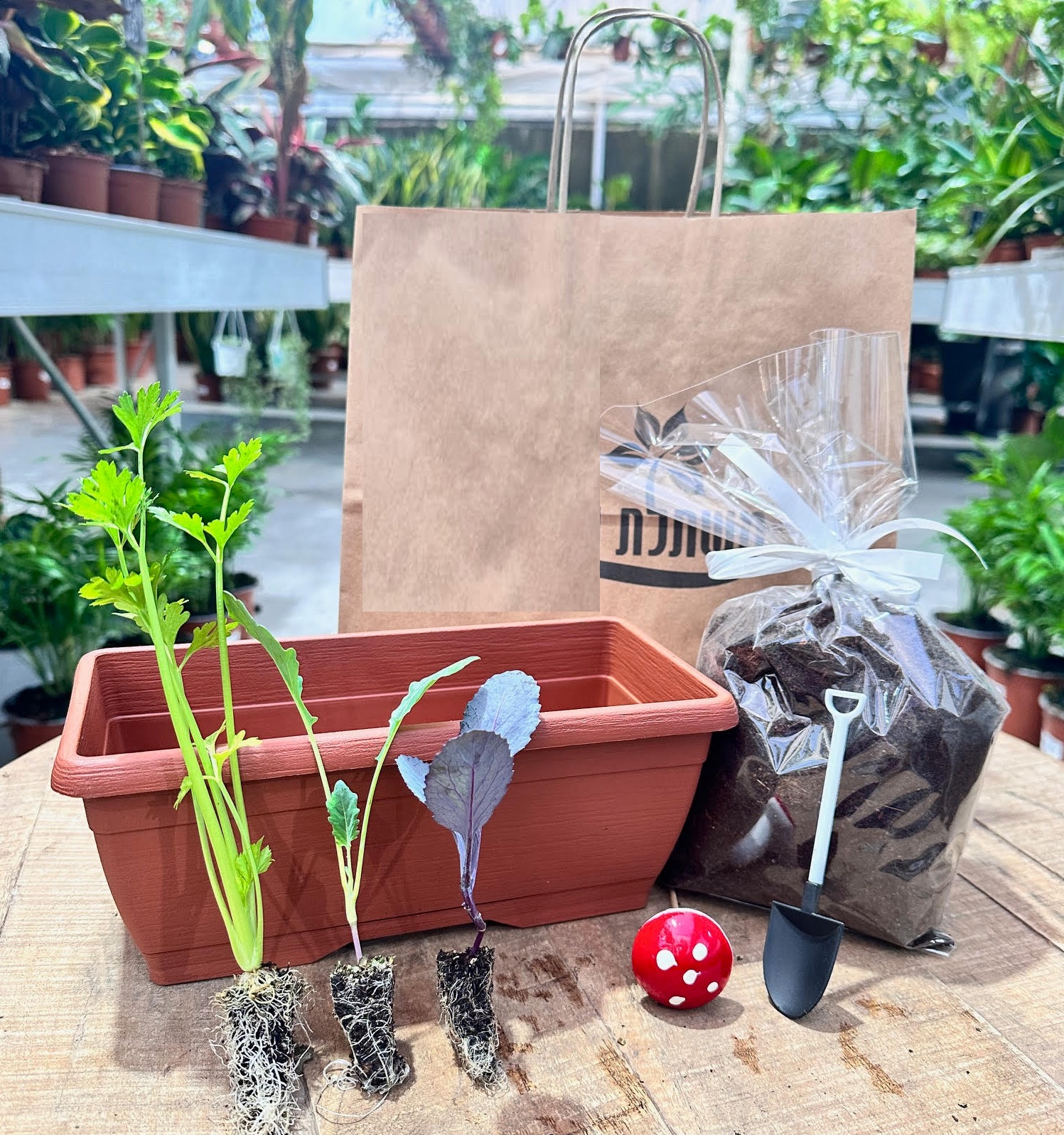 אדנית צבעונית + חבילת פקעות + פיטריה + מיני כף שתילה.

ניתן להחליף ערכת שתילה – אדנית ירקות.

צבעי האדניות: חום, לבן, אפור, ורוד, אדום, צהוב.