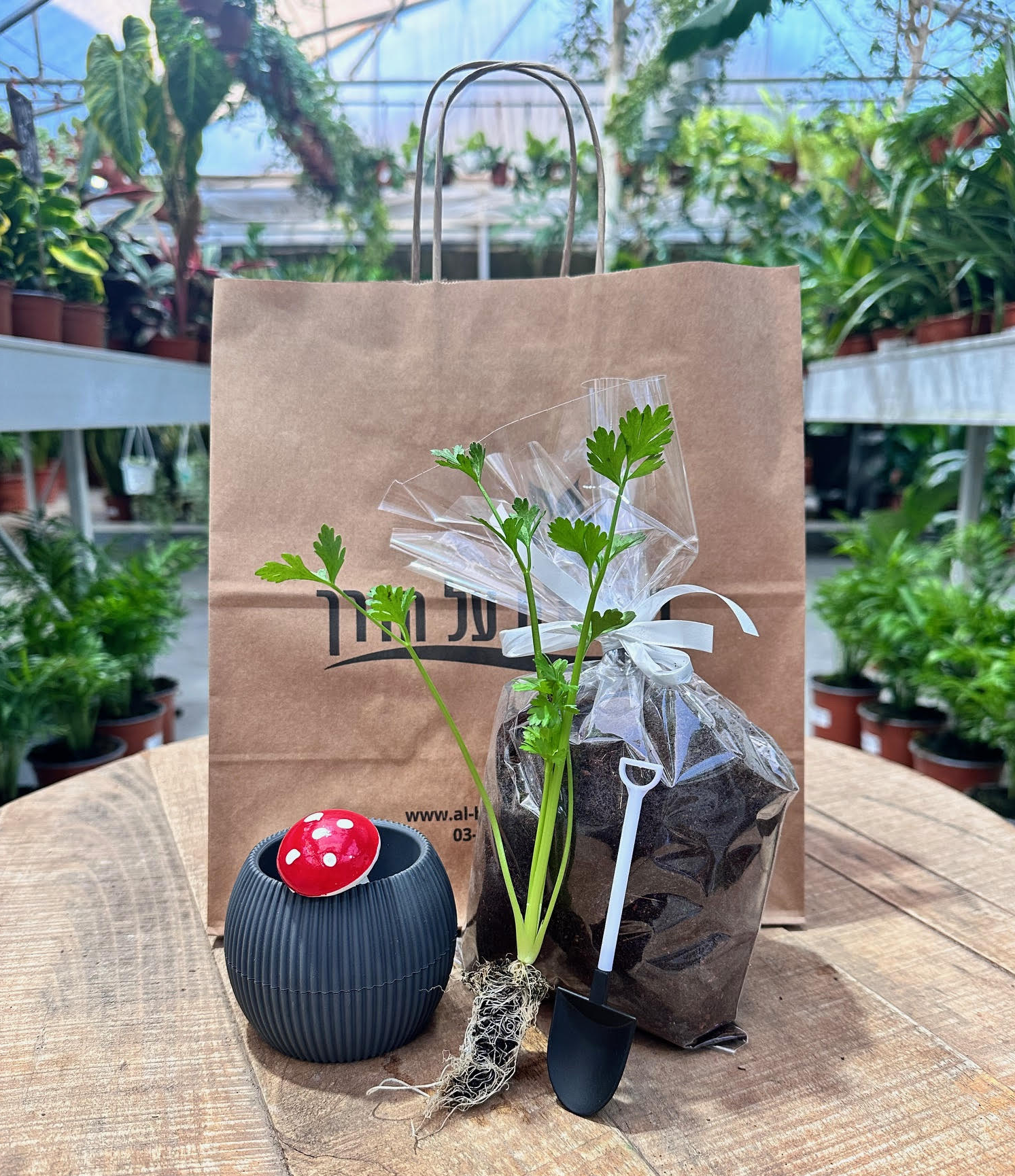 ערכת שתילה הכוללת זרעים של פורחים/עשבי תיבול בטרקוטה. 
מגיע עם שקית אדמה, כף שתילה מיני ופטריה מיני.