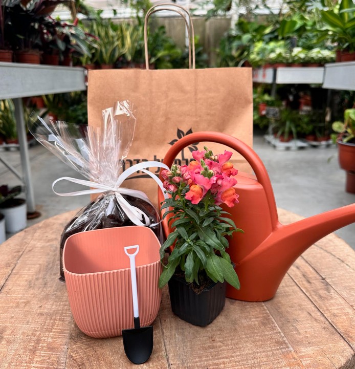 מארז שתילה – יופי של פריחה. 
המארז כולל: כלי, פרח עונתי בע