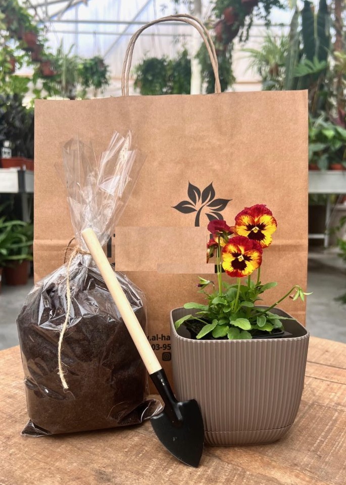 ערכת שתילה - פרחי חורף. 
העציץ לא שתול בכלי - ישנה תוספת של שקית אדמה. 