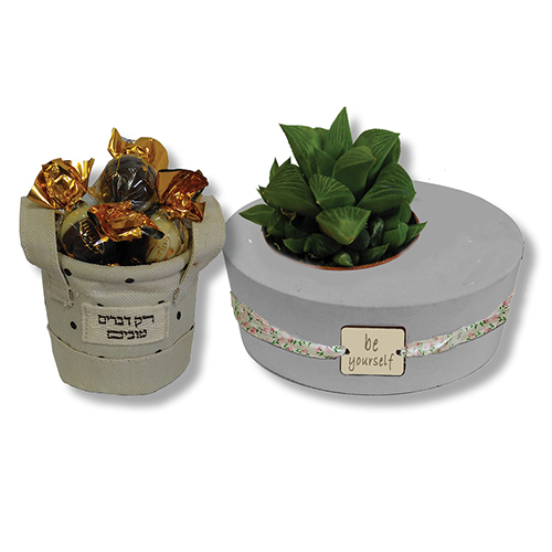 סקולנט וסלסלת פרלינים - סקולנט בעציץ בטון וסלסלה מעוצבת עם 5 פרלינים. 
מידת הסלסלה: 7×7.5 ס