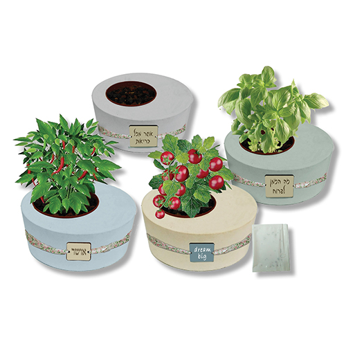 עציץ מבטון אדמה וזרעים. 
מידת העציץ 13x12x5.5 ס