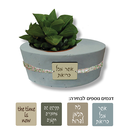 עציץ בטון אובלי מבטון עם סקולנט.
מידת העציץ 13x12x5.5 ס