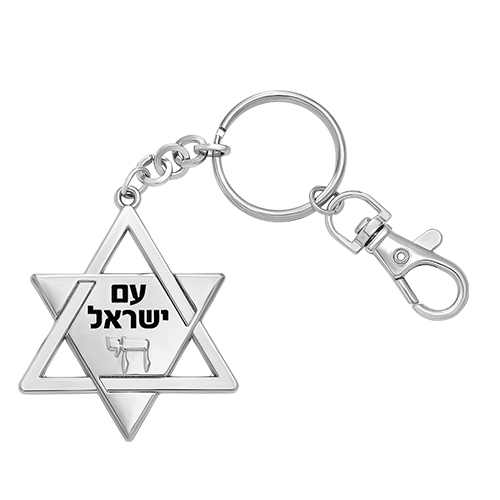 מחזיק מפתחות מגן דוד. אורך/גובה: 5 ס״מ.
חומר: מתכת. 