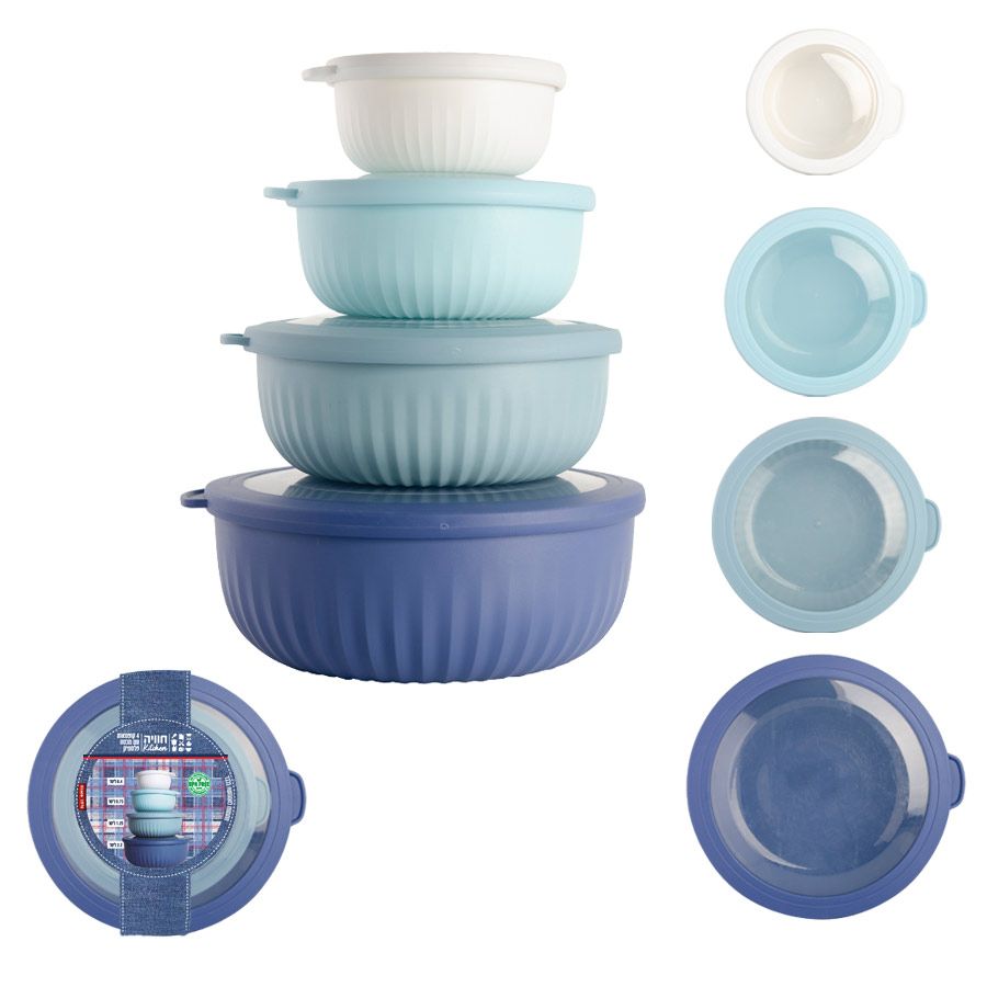 סט 4 קופסאות עם מכסה פלסטיק 0.4, 0.73, 1.25, 
2.2 ליטר. 