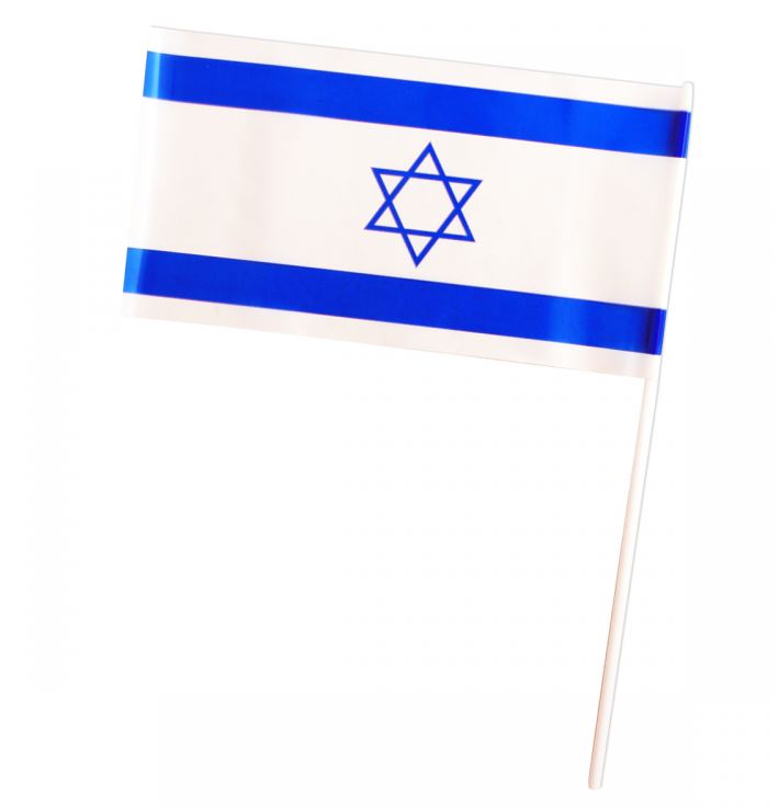דגל ישראל מניילון על מקל לאחיזה. 
