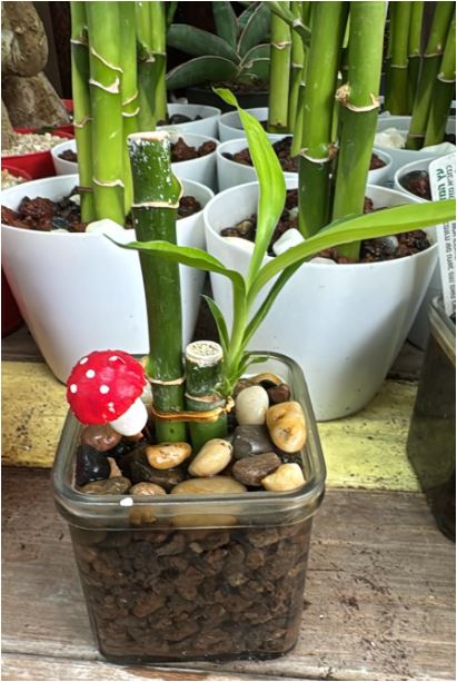 גיפטק מתנות ומוצרי פרסום