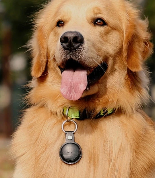 גיפטק מתנות ומוצרי פרסום