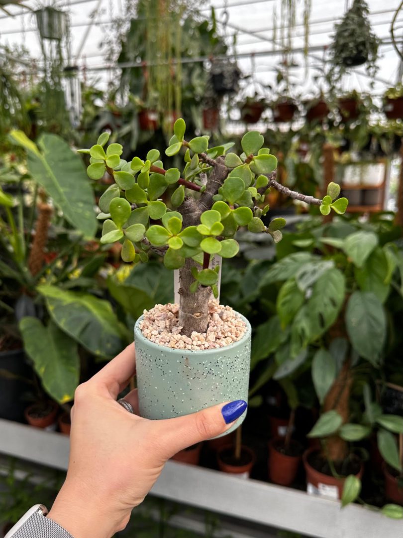 גיפטק מתנות ומוצרי פרסום