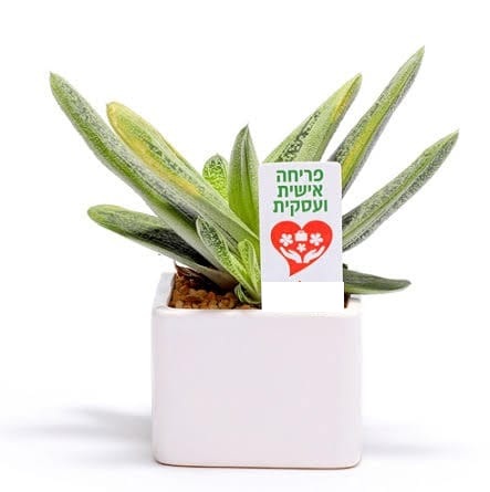 גיפטק מתנות ומוצרי פרסום