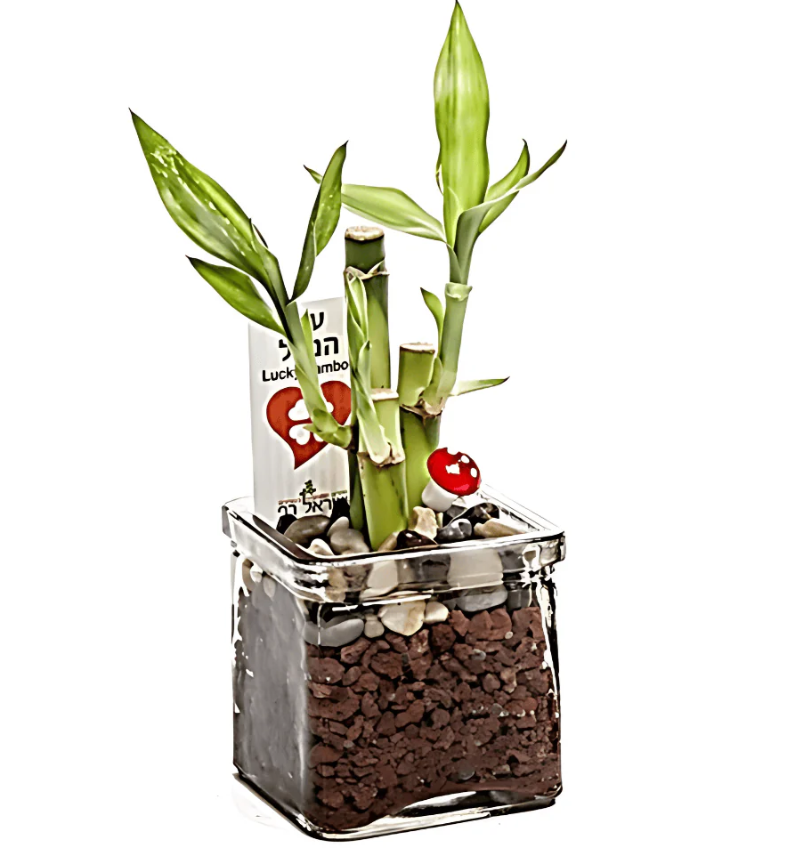 גיפטק מתנות ומוצרי פרסום