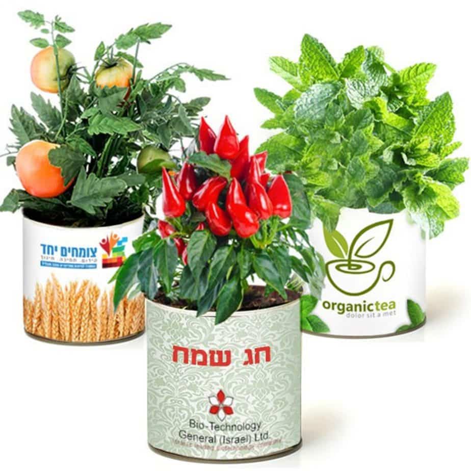 גיפטק מתנות ומוצרי פרסום