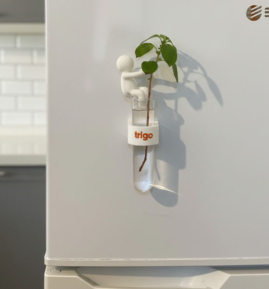 גיפטק מתנות ומוצרי פרסום