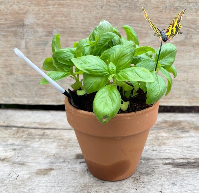 גיפטק מתנות ומוצרי פרסום