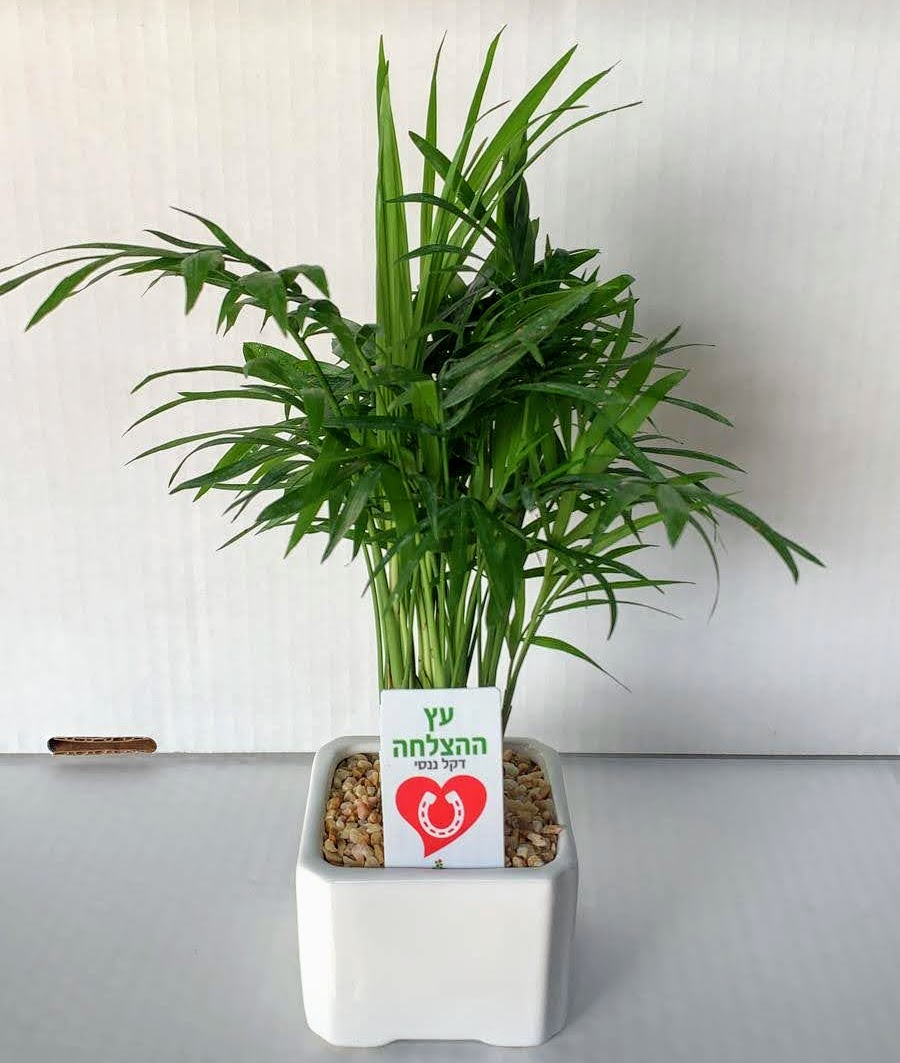 גיפטק מתנות ומוצרי פרסום