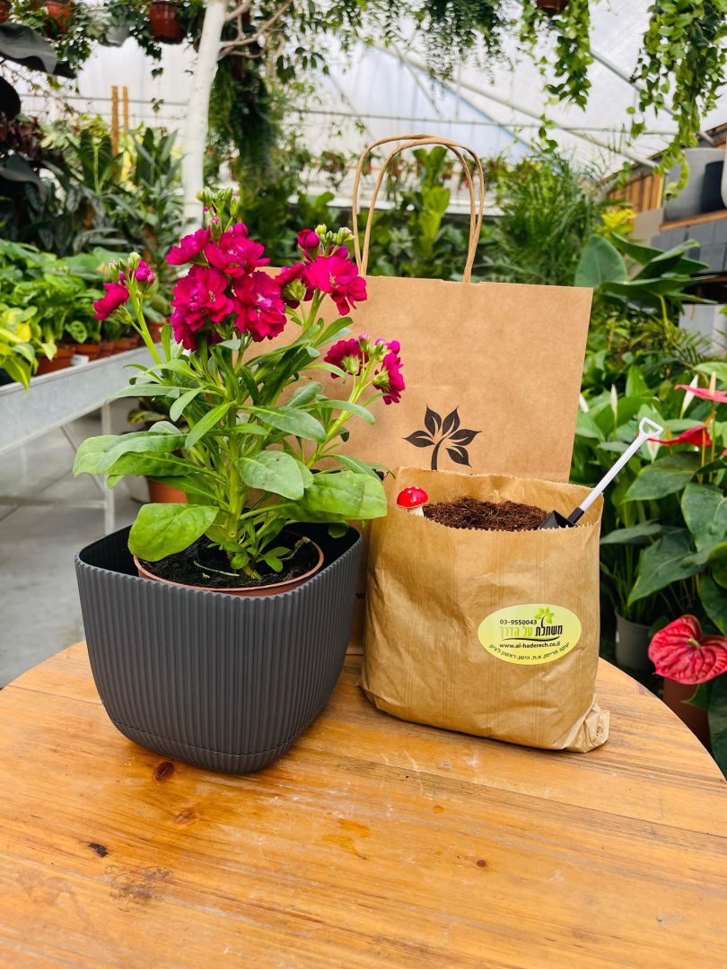 גיפטק מתנות ומוצרי פרסום