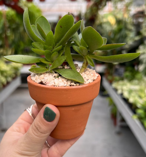 גיפטק מתנות ומוצרי פרסום