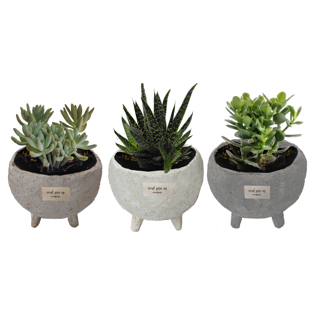 גיפטק מתנות ומוצרי פרסום